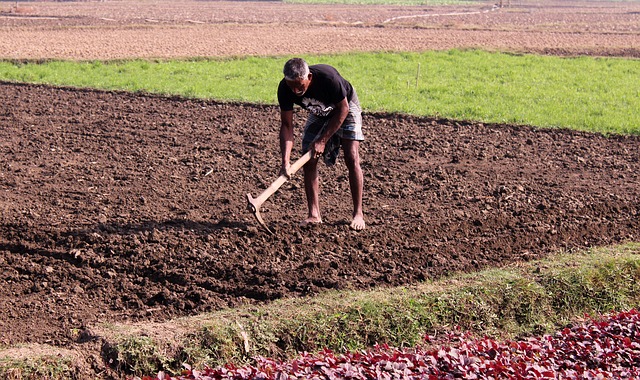 Bono Rural Agrario, una ayuda para los pequeños agricultores